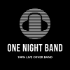 One Night Band- 100% Live Cover Band